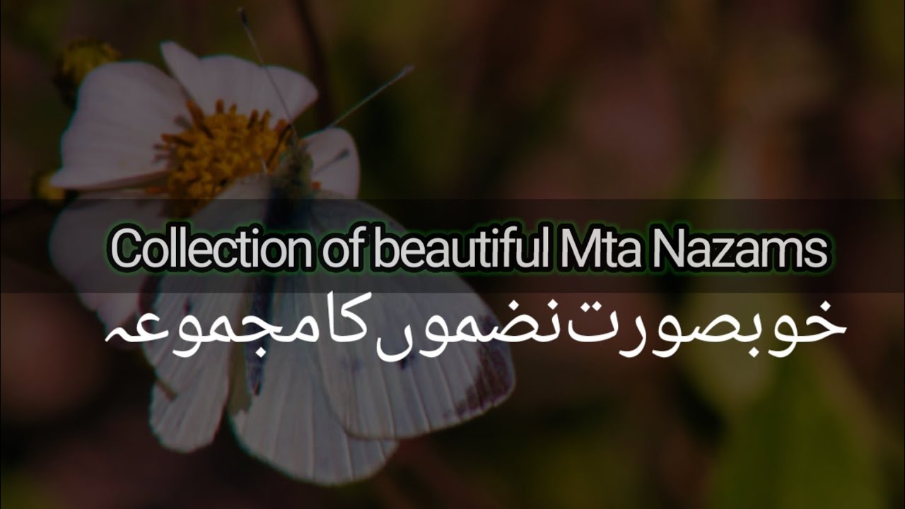 Beautiful MTA nazams