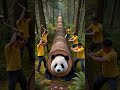 Hilarious Rescue: Panda Gets Stuck in a Giant Log 🐼