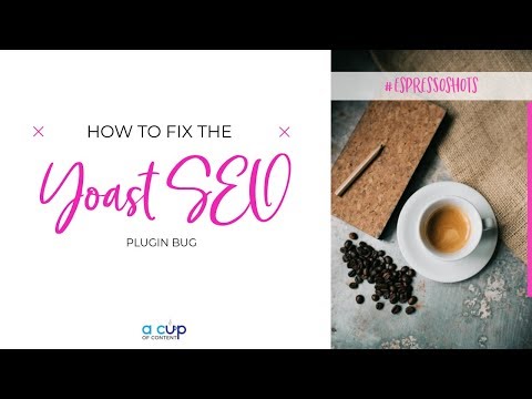 How to fix the Yoast SEO plugin bug