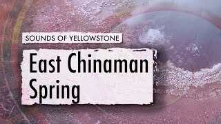 East Chinaman Spring — ASMR, Sleep, Concentration (Sounds of Yellowstone)