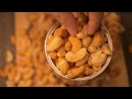 Hilarios cashew kernels  low budget teaser canon m50