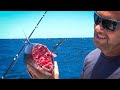 Massive Shark EATS half our TUNA! {Catch Clean Cook} We eat the other half