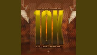 10K