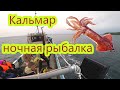 Ловля кальмара в татарском проливе. Сахалин