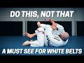 The best white belt tipsimprove your jiu jitsu today