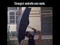 These super fun umbrellas will make you wish for rain and snow