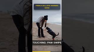 French Bulldog Warning Signs #Shorts #dogs #Pets
