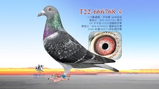 【尹培華】T22-666768