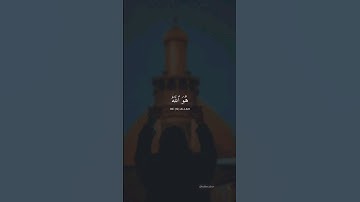 تلاوة مبكية.. من سورة الحشر