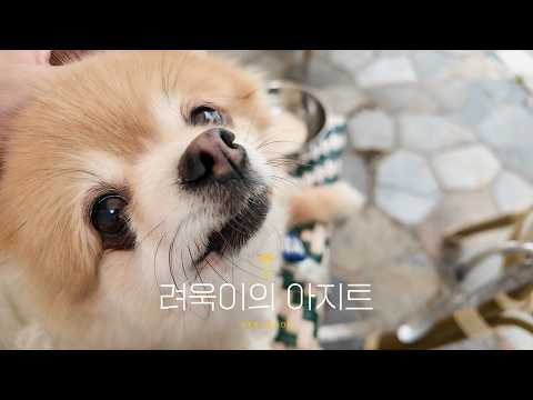 Ordinary days, Happy moments EP.1