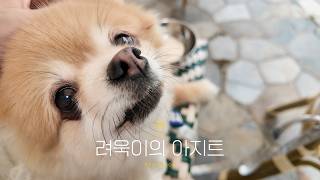 Ordinary days, Happy moments EP.1