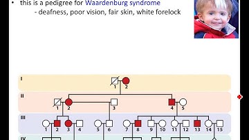 Lecture 8 - Pedigrees and Genetic Testing