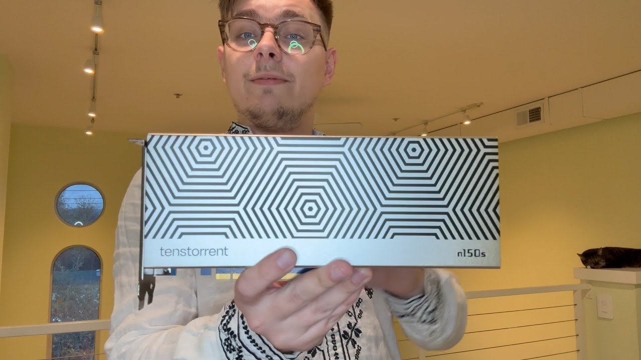 Tenstorrent Wormhole n150 video