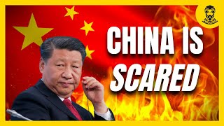 China's Collapse EXPLODES As The Money Printer BRRRs | Market Update