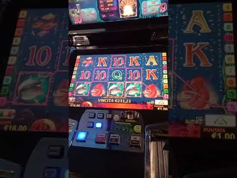 Blackjack VIP 14 | Café Turístico - Especial Inauguración Hotel-Casino Del Rio 2024