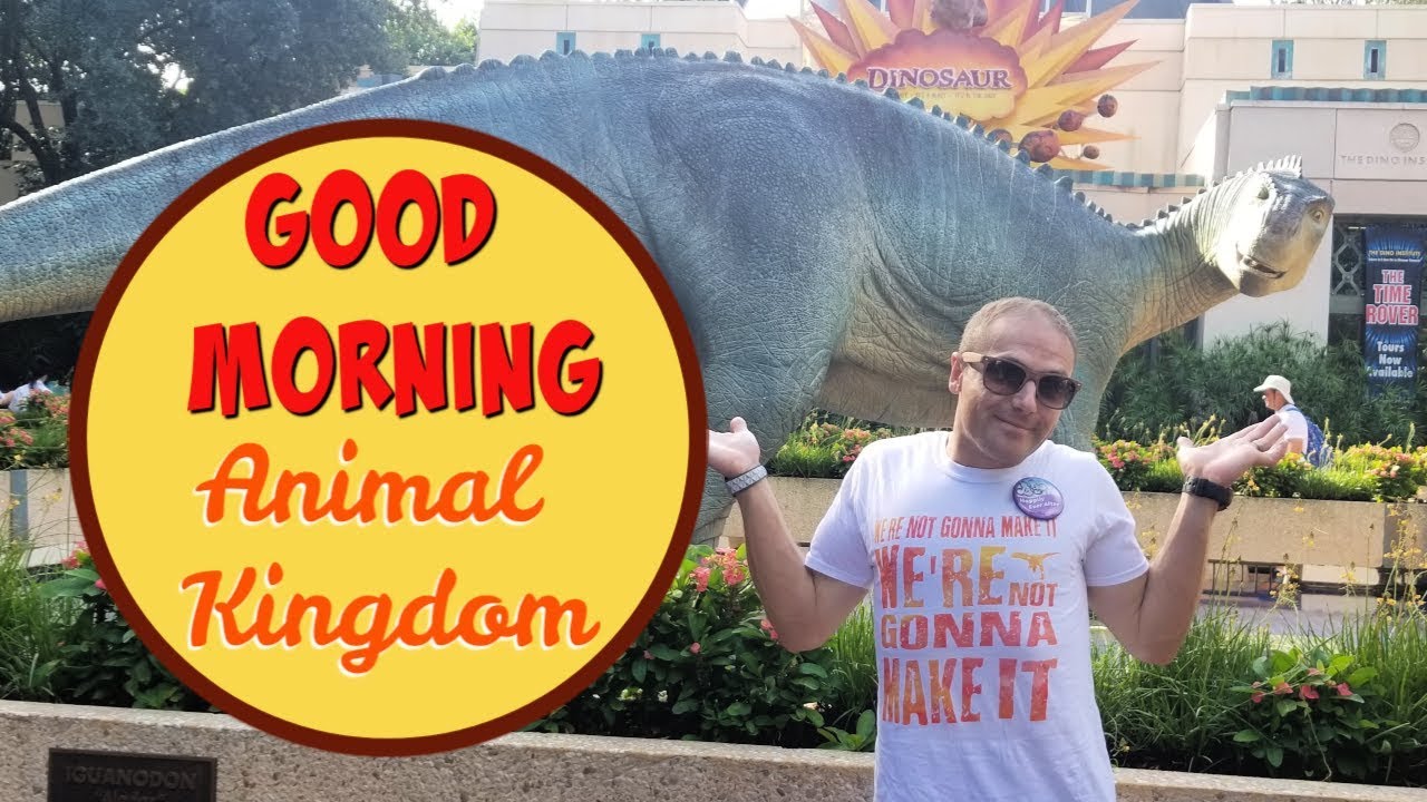 A Busy Animal Kingdom Morning - Day 4 (Part 1) September 2019 Disney