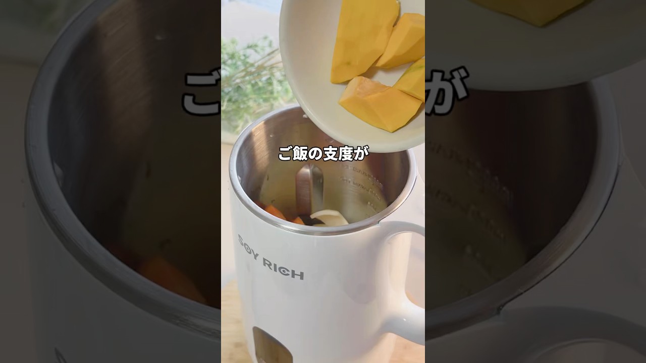 I tried out the trendy soy milk maker. It's more of a soup maker