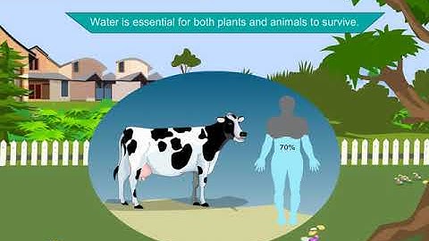 Incredible Science Class 5 - Chapter 5 - Page 56