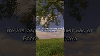 Мы беспечны #ислам #напоминание #хадис #грешники #подпишись
