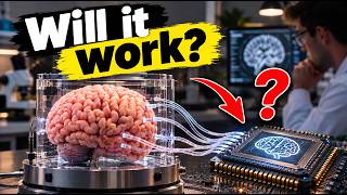 Scientists are putting real brains inside computers — but why