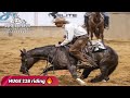 Jesse lennox cutting horses marking a huge 228 riding
