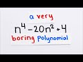Understanding Polynomial and Composite Numbers