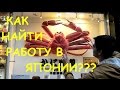 Работа в Японии. Как найти. Сколько платят.