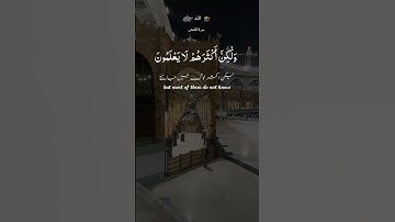 surah al qasas...سورة القصص#molanahamzanadeemofficial #quran