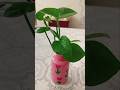 #comedy #funny #comedyfilms #baby #cutebaby #shortsvideo #diy #varsha1985 #viralvideos