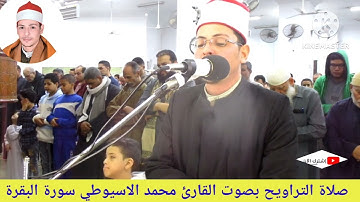 صلاة التراويح القارئ محمد الاسيوطي اول ليلة نن من رمضان 1445