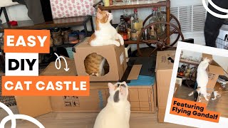 EASY DIY CAT CASTLE - 15 Minute Enrichment Activity for Happy Cats! by IndoorOutdoorKat 616 views 11 months ago 8 minutes, 4 seconds