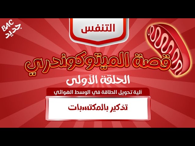المجال 2/ الوحدة 2: التنفس والتخمر