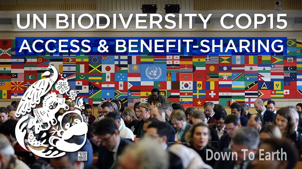 Access And Benefit sharing At UN Biodiversity COP 15 In Montreal cost-benefit-analysis-definition-steps-examples
