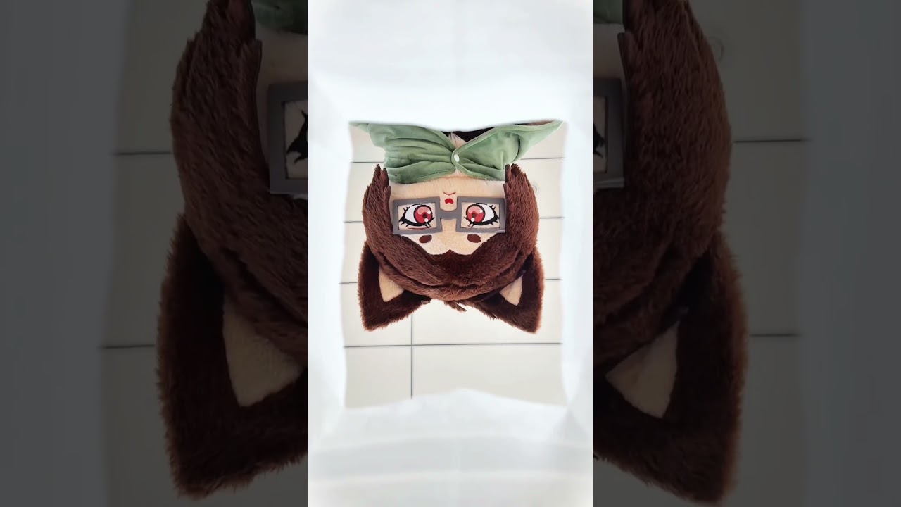 AOT meows are watching you! 