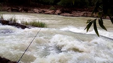 Câu cá Hồ Dầu Tiếng