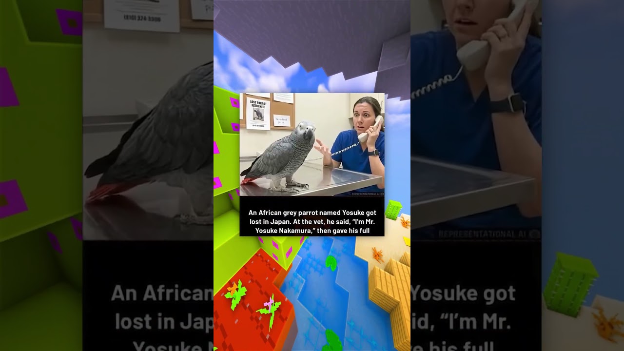 Самые смешные мемы про животных!