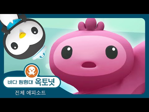 바다 탐험대 옥토넛 - 🦠 미끈미끈 해삼 🐌 - 모음집