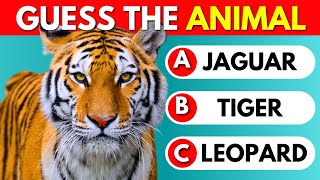 Guess The Animal Quiz | 50 Animals by Quiz Monster 5,113 views 3 weeks ago 11 minutes, 27 seconds