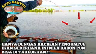 Wajib di coba hanya dengan racikan pengumpul ikan sederhana ini bisa mendatangkan ikan nila babon !