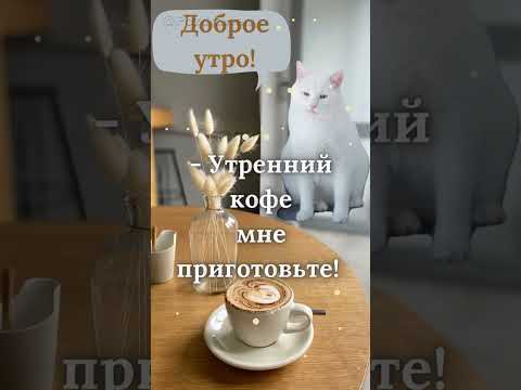 Доброе утро! Чашечку кофе! #денькофе #кофе #coffee