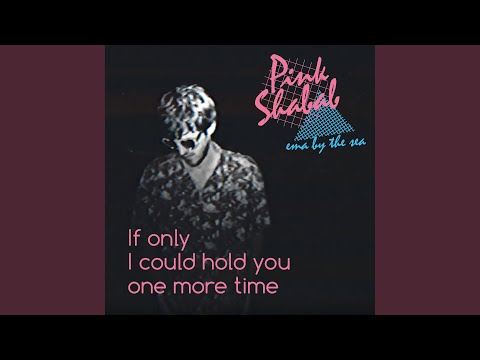 Pink Shabab — If Only I Could Hold You One More Time