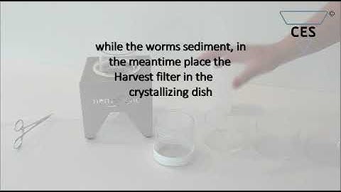 C. elegans Synchronizer - NemaSync