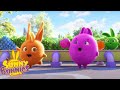 SUNNY BUNNIES - FAVOURITE FRUITS | SEASON 7 HITS | Cartoons for Kids