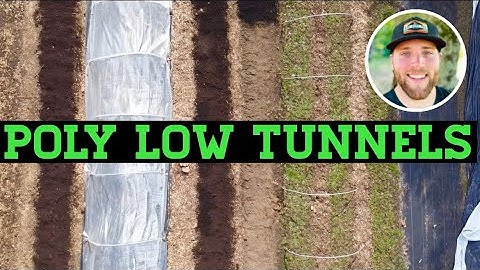 WAAROM U GEEN POLY LOW TUNNELS MOET BOUWEN
