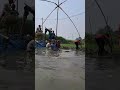 টান দেন চাচা। #viralvido #duet #amazing #fishing