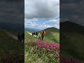 Чорногірський хребет Mountains Ukraine карпати туризм світанок червонарута Trekking Wandern