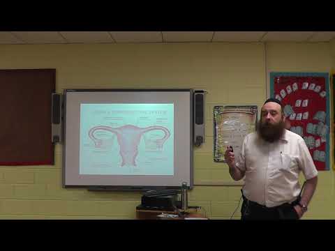 EMT Lecture - OB/GYN & Neonatal Care