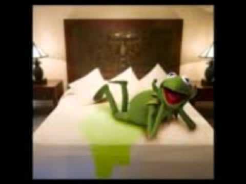 Kermit the frog talks you through how to use www.topcashback.co.uk and the ...