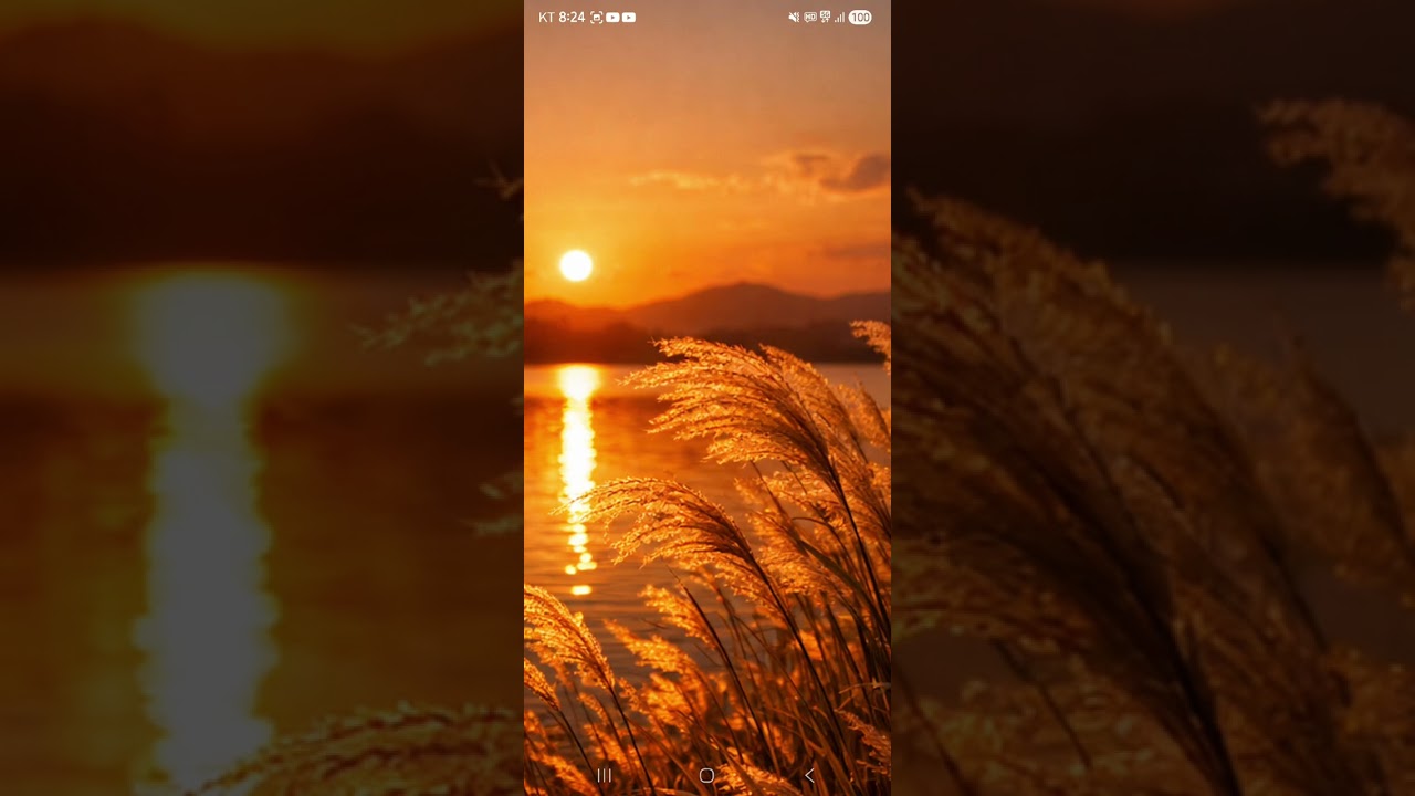 그리움| | 피아노연주곡| 