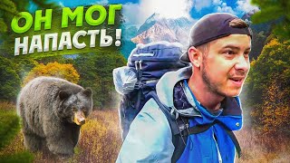 DO NOT DO THIS when meeting a BEAR / SINGLE hike through the MOUNTAIN